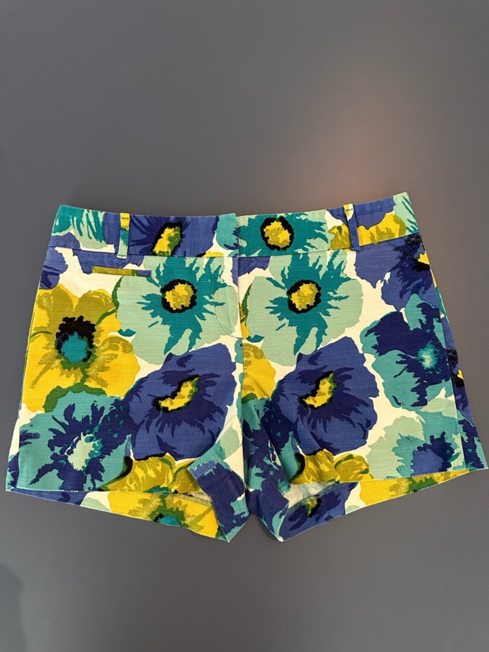Ann Taylor loft floral shorts – women size 10